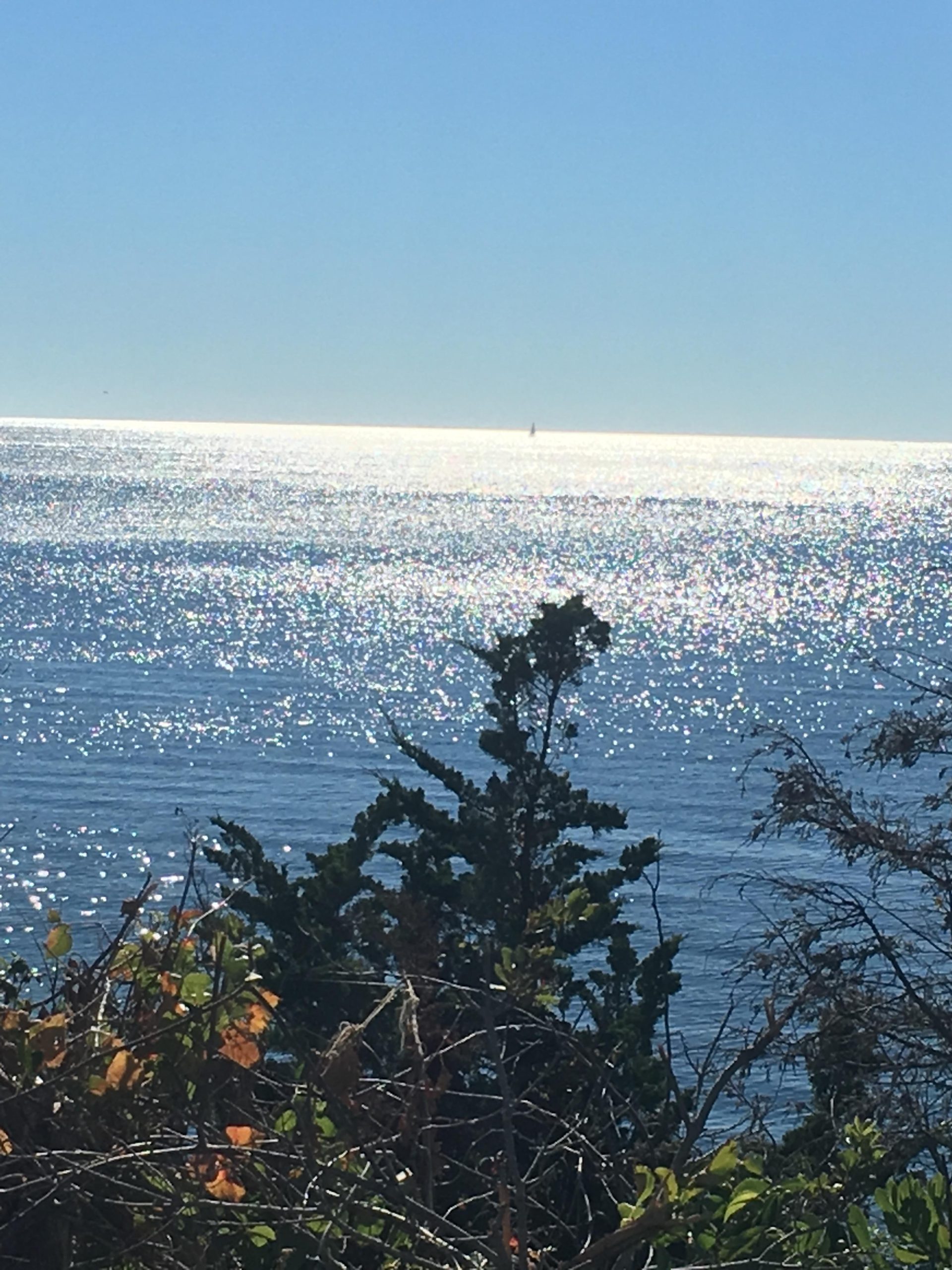 Tommy’s Place support for families facing childhood cancer